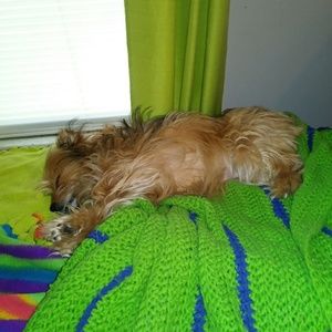 Meet your Posher, Chrystal